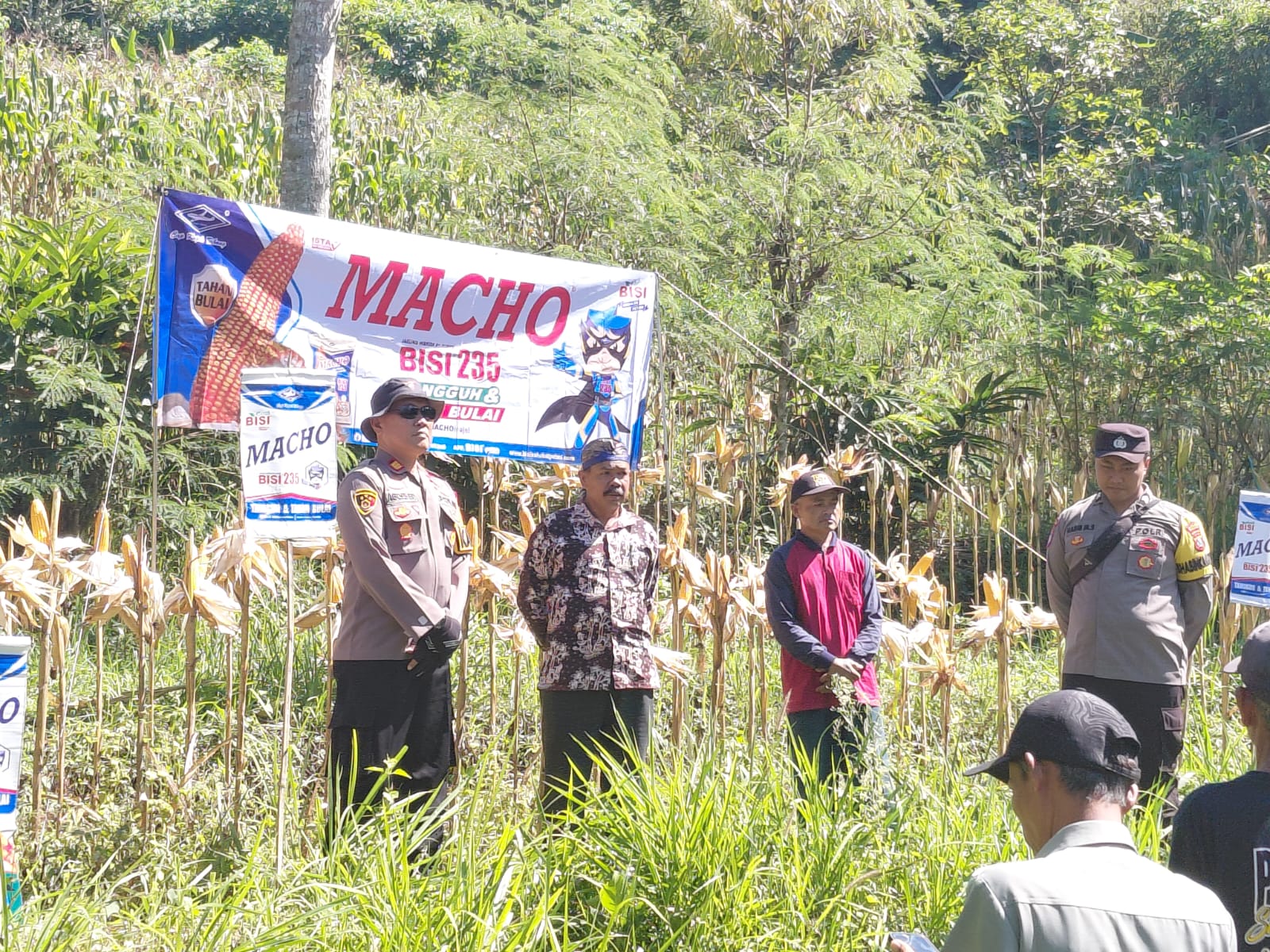 IMG-20260622-WA0015