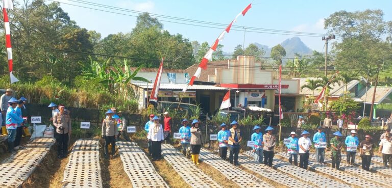 IMG-20260819-WA0034